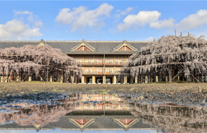 4月、新年度の始まりですね。